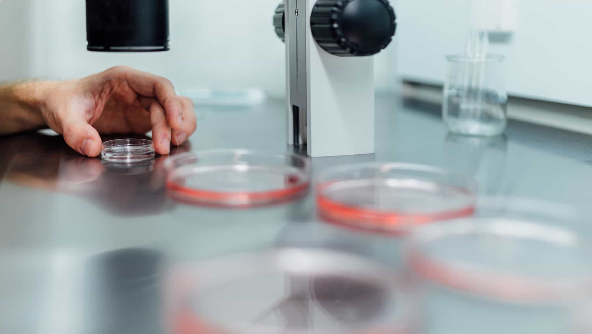 insemination process